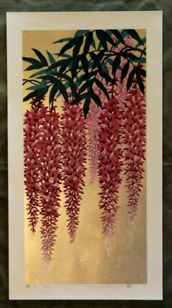 Wisteria 2