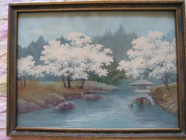 Sakura on river bank with lantern