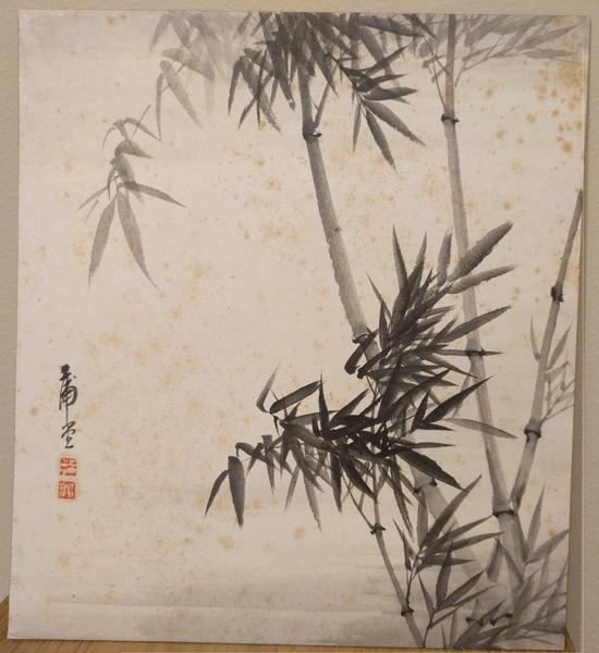 Bamboo