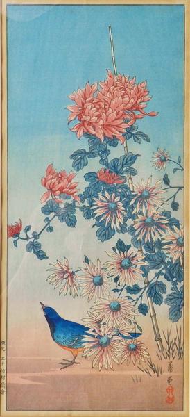 Blue Bird Chrysanthemum and Aste