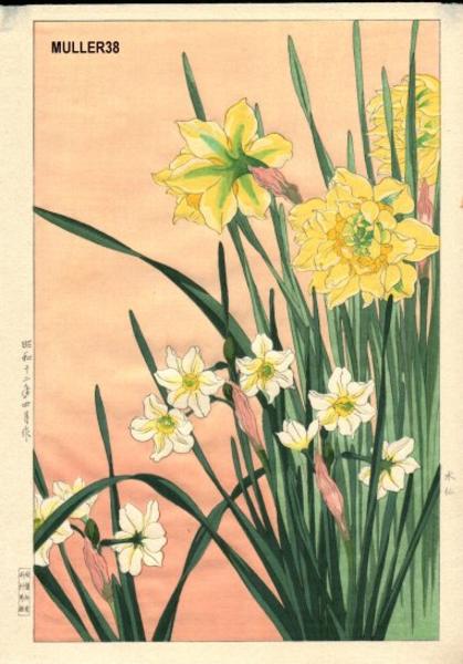 Daffodils