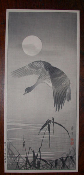 Goose in Flight