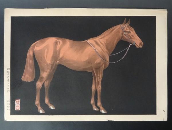 Horse