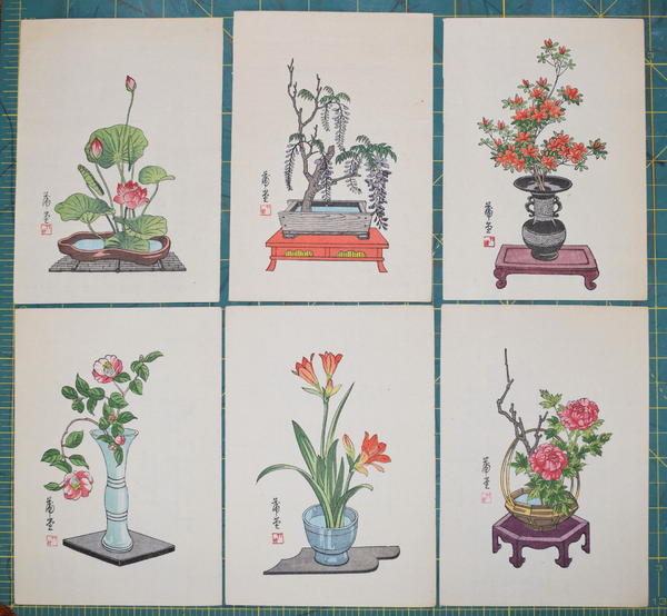 Ikebana, 12 scenes