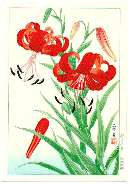 Lilies