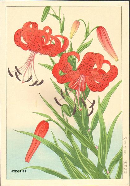 Lilies