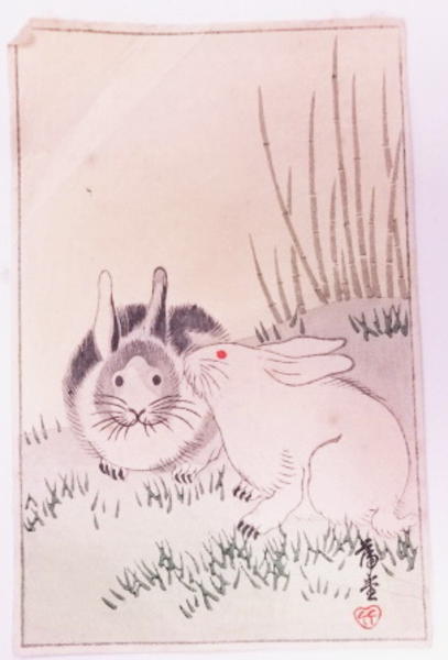 Rabbits