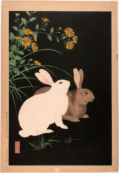 Two Rabbits- 2