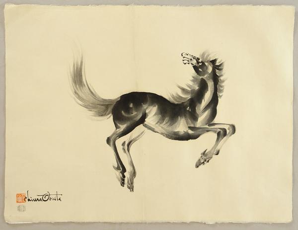 Lively Horse