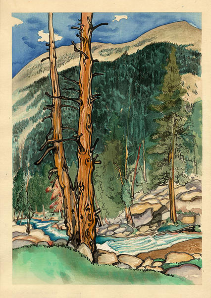 Upper Lyell Fork, near Lyell Glacier