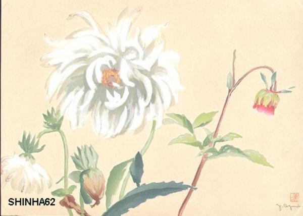 Peonies