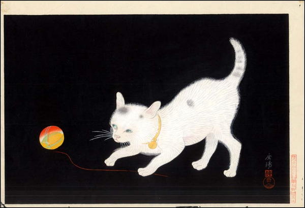 Cat at play