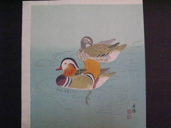 Ducks
