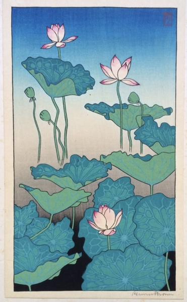 Lotus Flowers