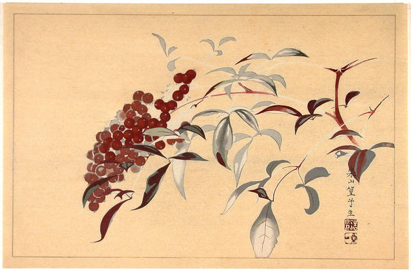 Berries