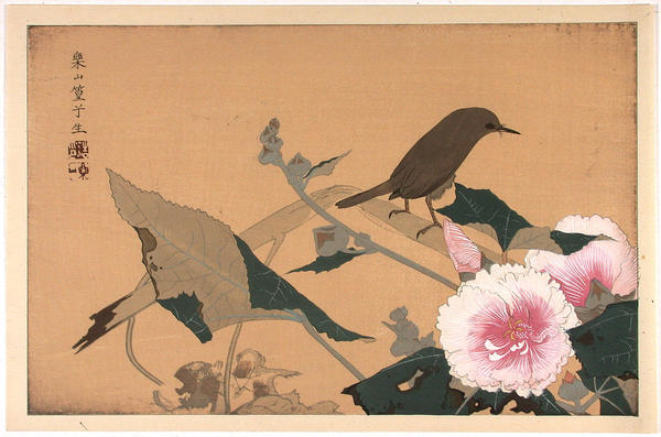Bird and flowers