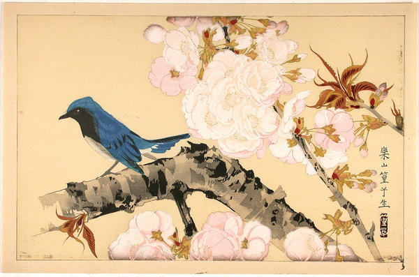 Bird on a branch