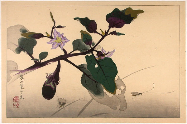 Crickets and Flowers