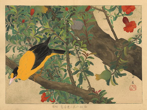 Early Summer