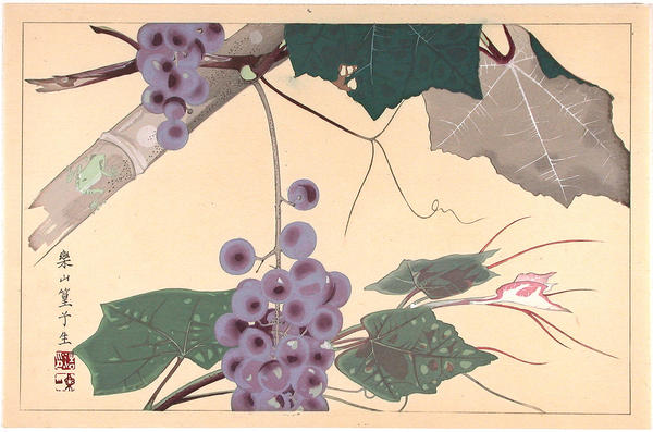 Grapes