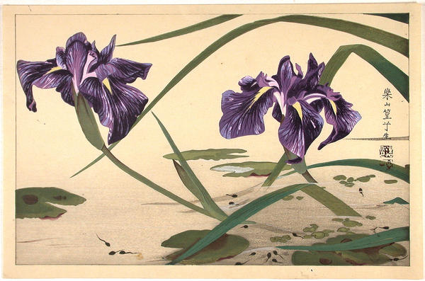 Iris flowers