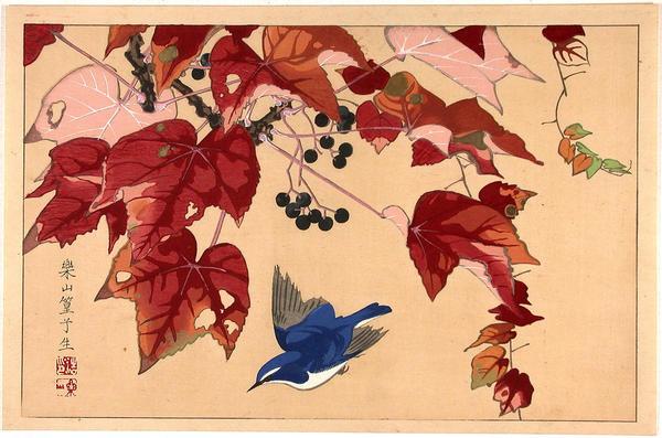 Blue Bird and Wild Grape Vine