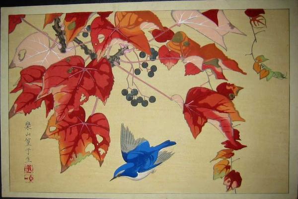Blue Bird and Wild Grape Vine