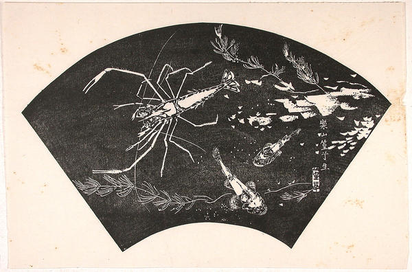 Fan print- shrimp and fish