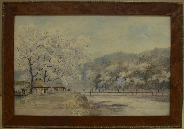 Cherry Blossom Viewing