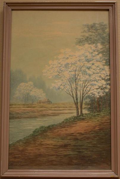 River in Spring