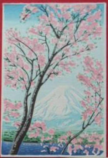 Fuji in Spring