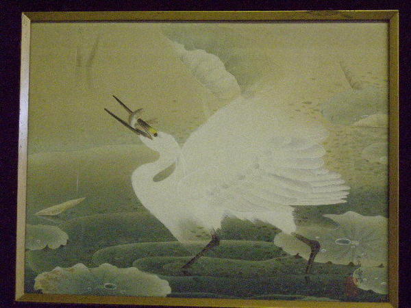 Snowy Heron in Lotus Pond