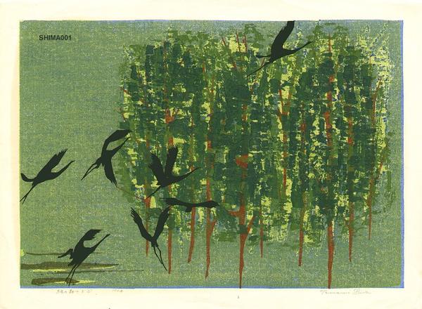 Fly in the Green Forest