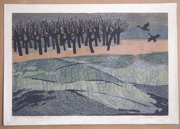 Scene of Flying Ducks