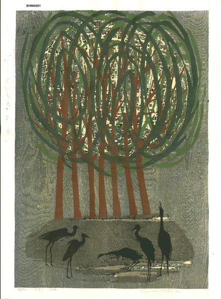 Unknown- trees and birds