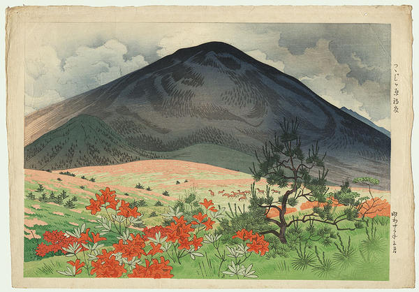 A Field of Azalea in the Early Summer