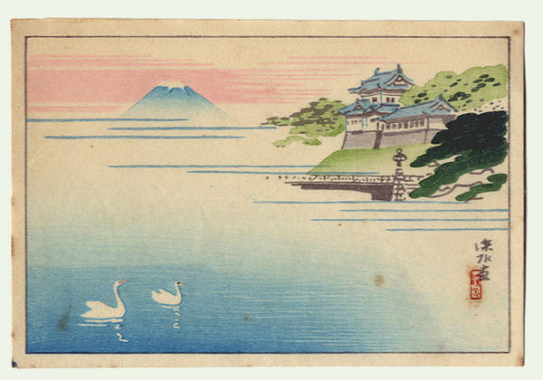 Castle and Mt Fuji