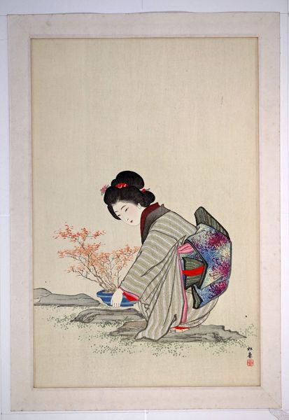 Bonsai