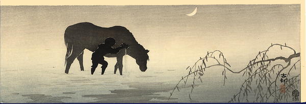 A man washing his horse in shallow water