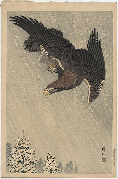 An Eagle in a Snowstorm
