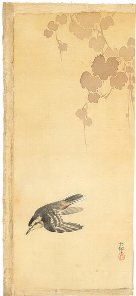 Bird in flight against a yellow sky, ivy leaves above