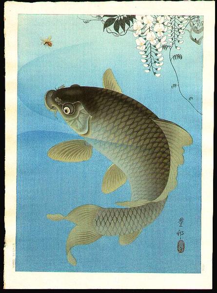 Carp