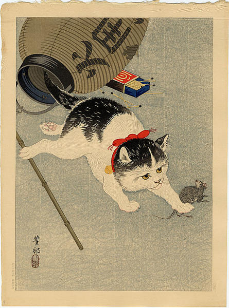 Cat