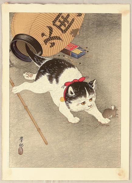 Cat