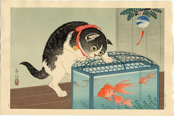 Cat and Bowl of Goldfish