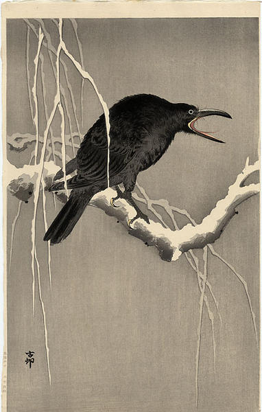 Cawing Crow on Snowy Branch