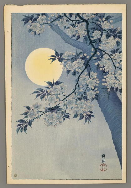 Cherry Blossom and Full Moon