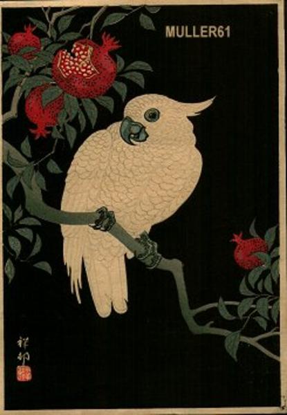 Cockatoo and Pamegranate