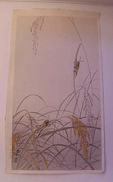 Crickets In Rice