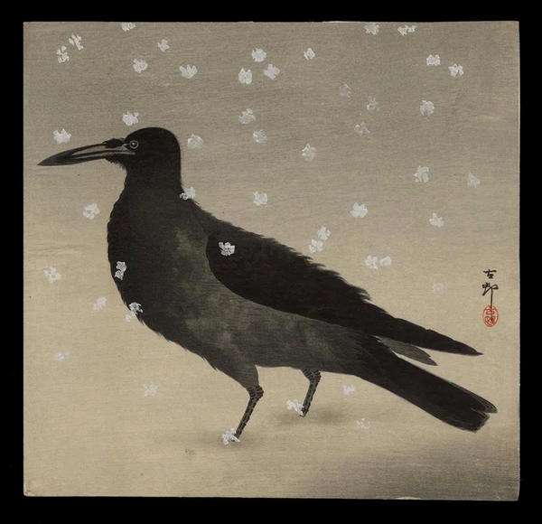 Crow in Snow
